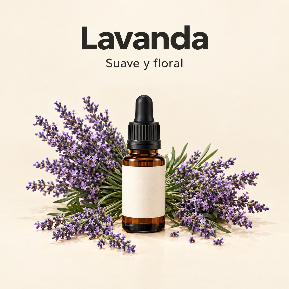 Lavanda