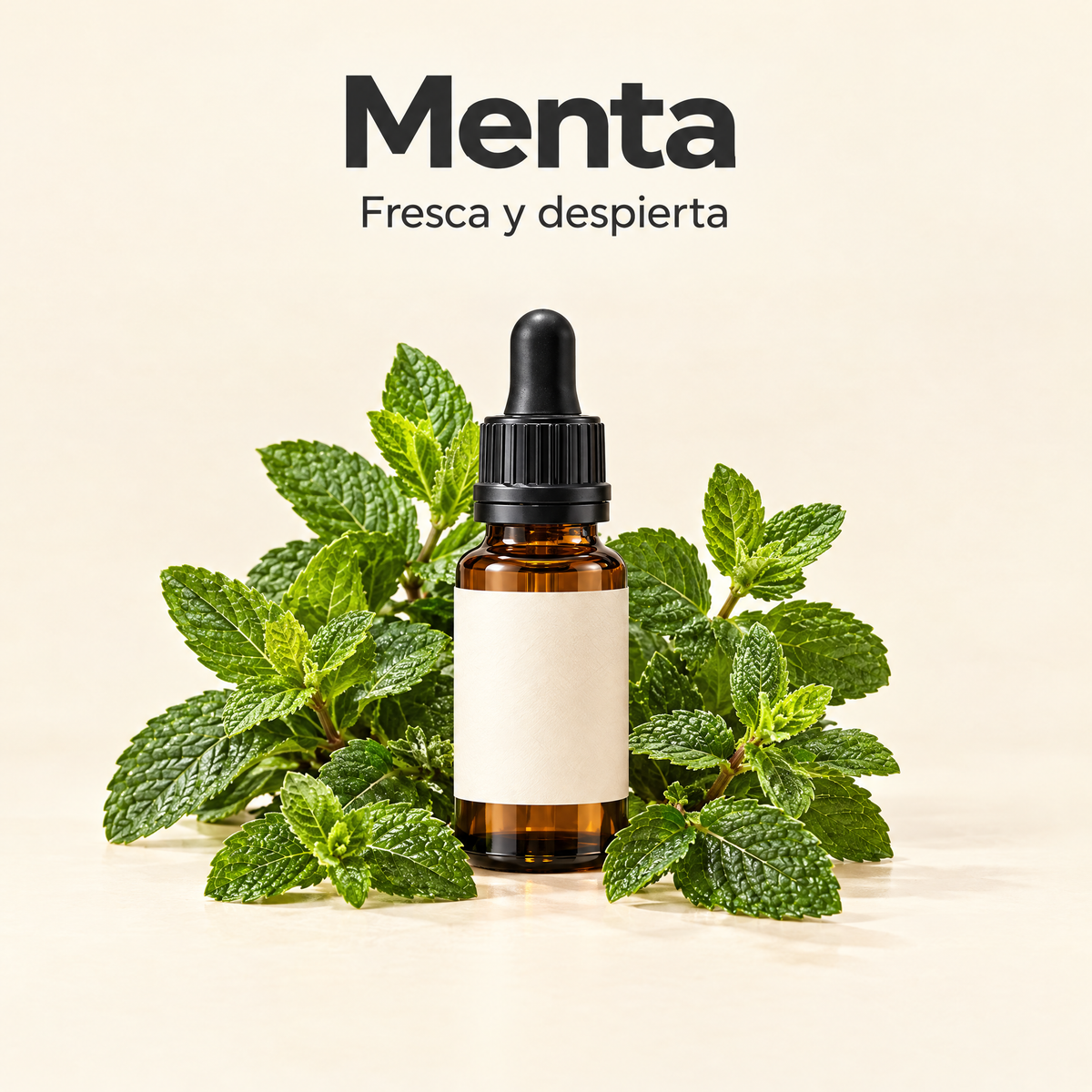 Menta